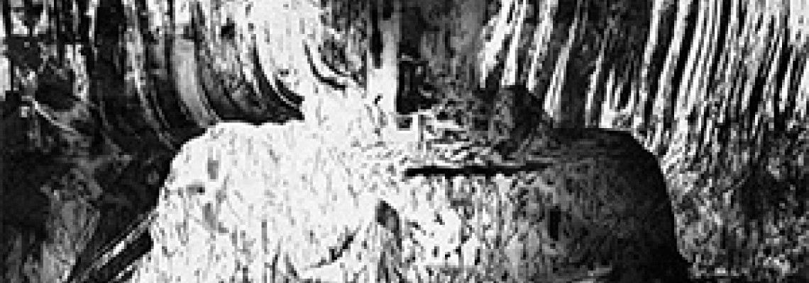 Shadow League - Back Down Shadow League - Back Down