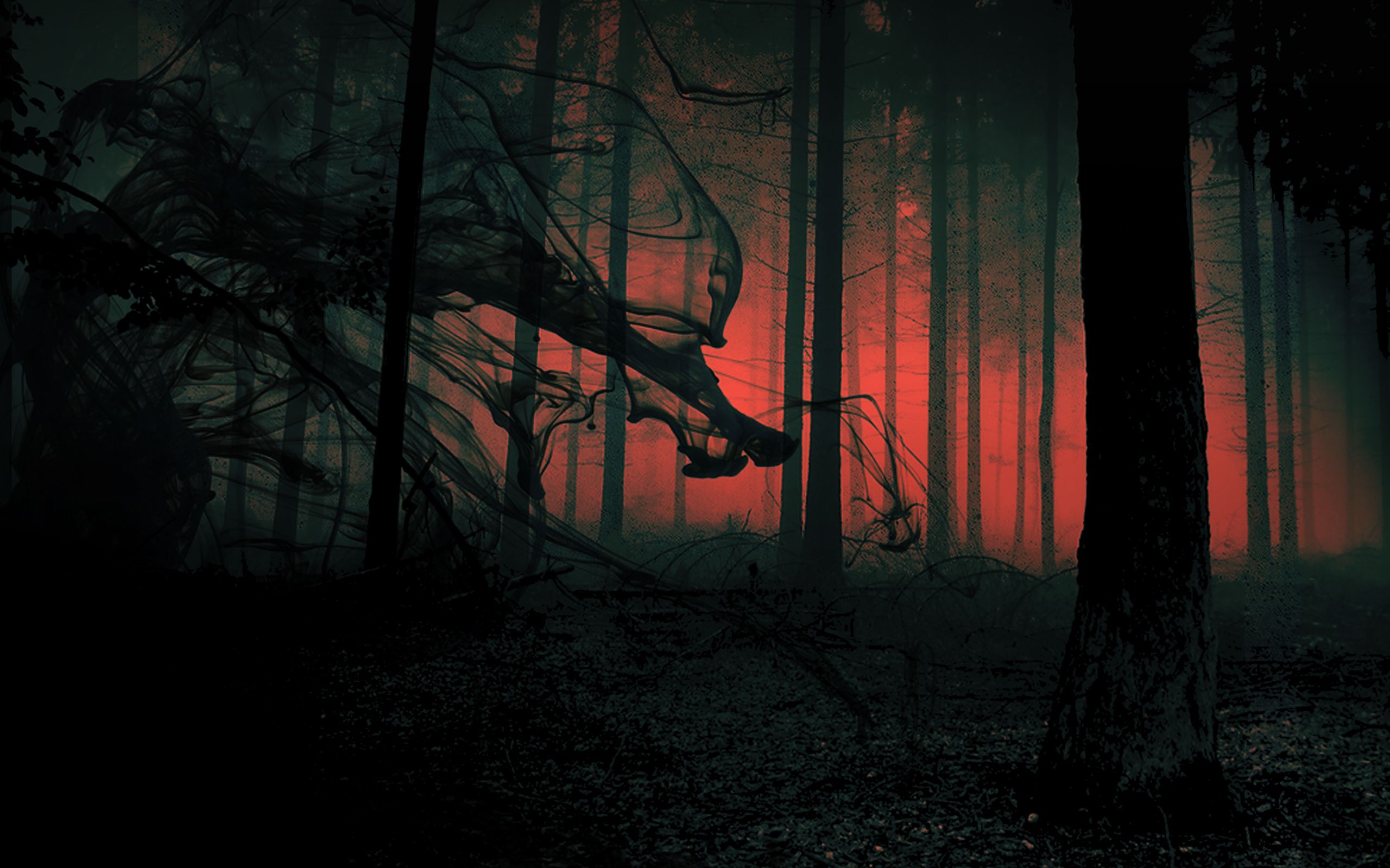 wallpapers Blackout Music NL Store